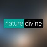 Nature Divine